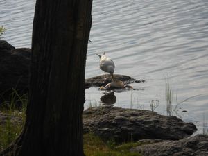 DSCN0137.jpg