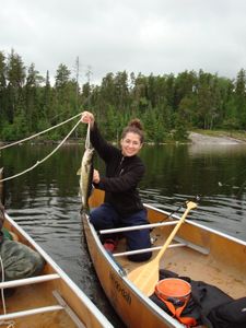 Walleye on Shell