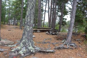 Campsite 1LY