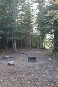 Campsite 1SH