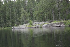 Campsite 655