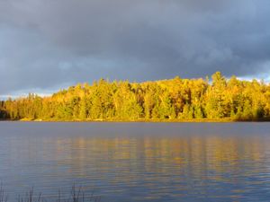 Shore in Sunlight