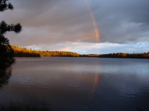 Rainbow on Pine