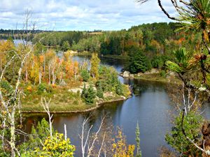 Pine Lake View