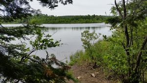 Fowl Lake Island Campsite