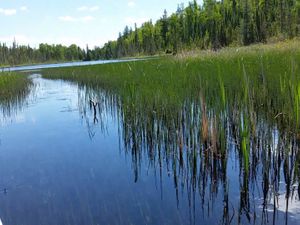 Fan Lake