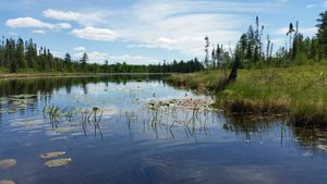 Vaseux Lake