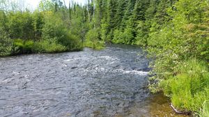 Royal River Portage