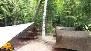 Tarp City.jpg