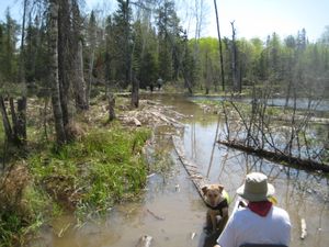 Lower Paulness to Shell Portage