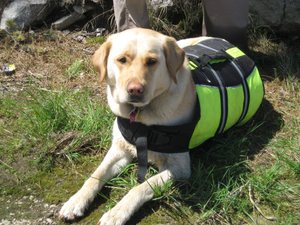 Zoey's first canoe trip