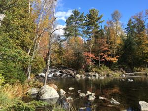 Portage