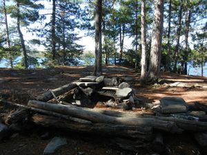 Campsite #310