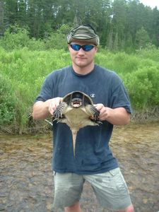 Isabella Creek 2005