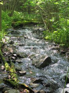 Bubbling Brook