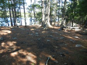 Campsite #310