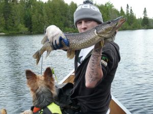 Nice Northern