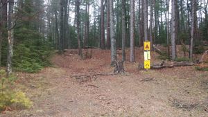 Pallette Site 6 / Lost Canoe Portage Landing