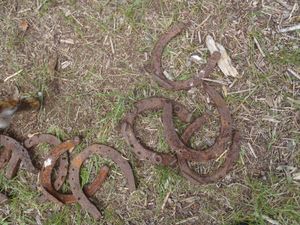 Horse shoes  on Moosecamp