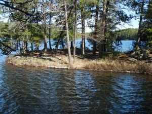 Campsite #310