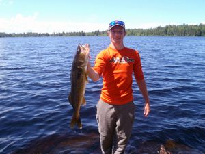walleye1