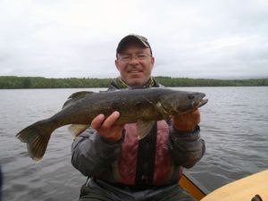 walleye2