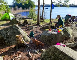 gabbro island camp