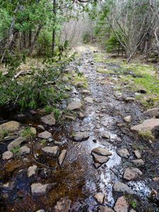 portage trail leaving south kawishiwi going toward little gabbro