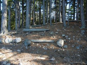 Campsite #309