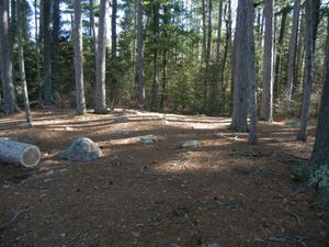 Campsite #309