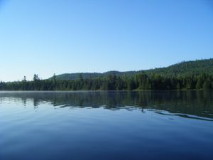 south shore bower trout