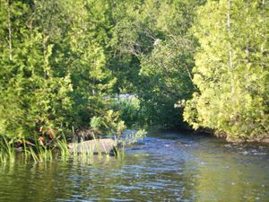 Outflow from Marshall Lake