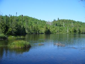 looking from skidway portage