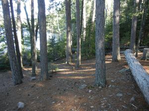 Campsite #309