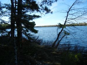 Campsite #309