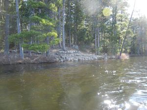 Campsite #309