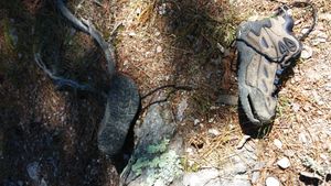 Are these your shoes?