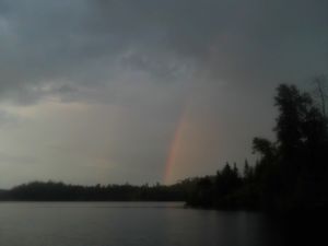 Ottertrack rainbow