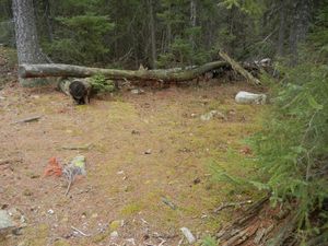 Campsite #302