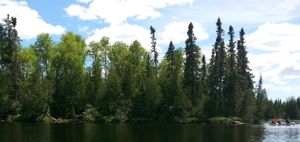 Campsite 825
