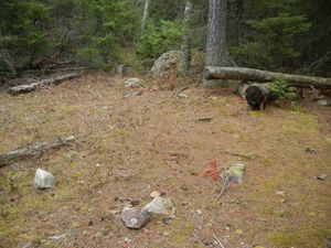 Campsite #302