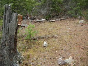 Campsite #302
