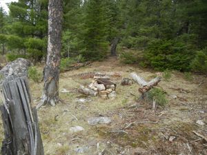 Campsite #302