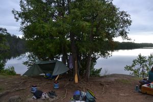 found a nice spot for the hammock