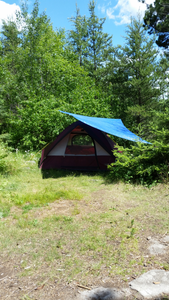 Gabbro site
