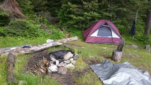Site 1