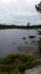 Gabbro