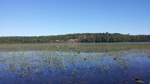20140726_083439.jpg