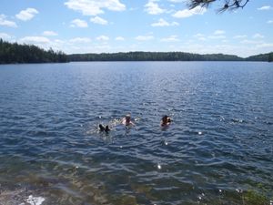 Lac_La_Croix_BWCA_2016_046.JPG