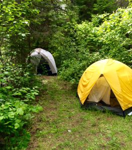 780 campsite